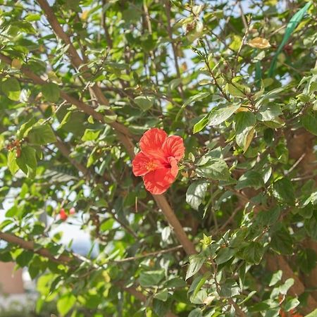 Mulberry Tree Villa Ágios Nikólaos 외부 사진