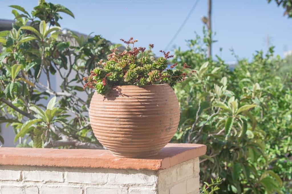 Mulberry Tree Villa Ágios Nikólaos 외부 사진