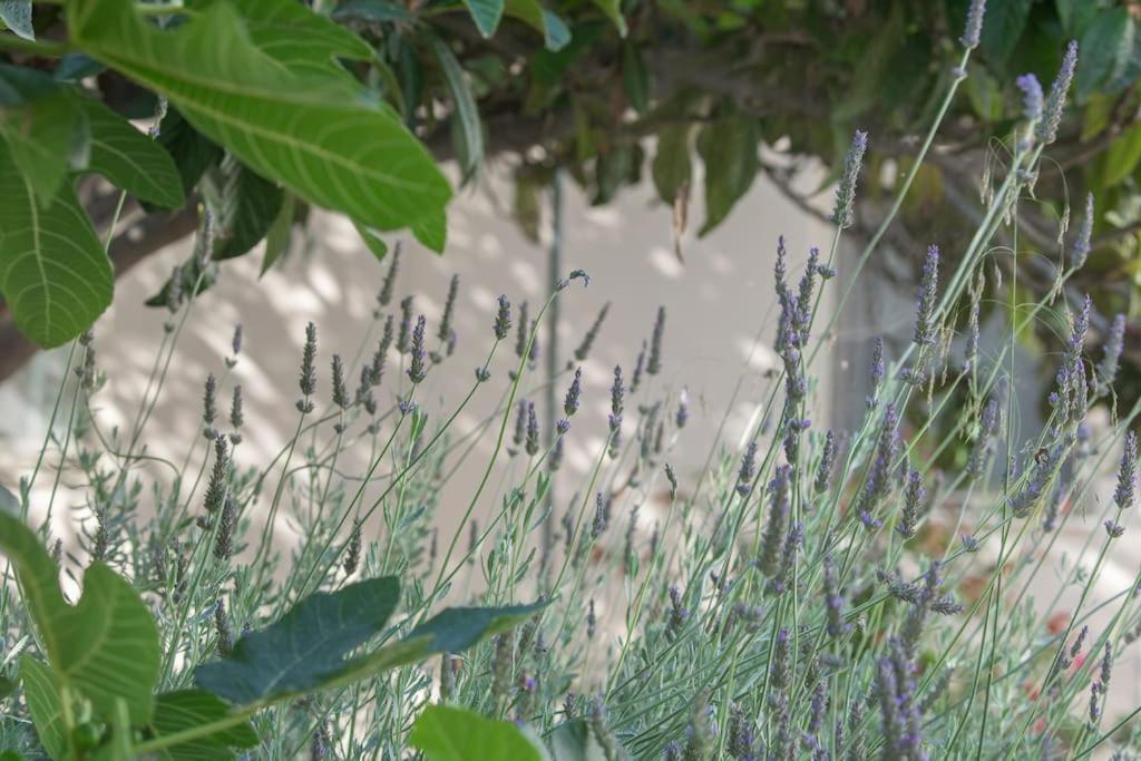 Mulberry Tree Villa Ágios Nikólaos 외부 사진