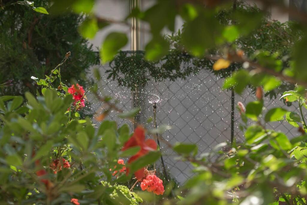 Mulberry Tree Villa Ágios Nikólaos 외부 사진